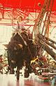 Le Manege Carre Senart concu par Francois Delaroziere 103